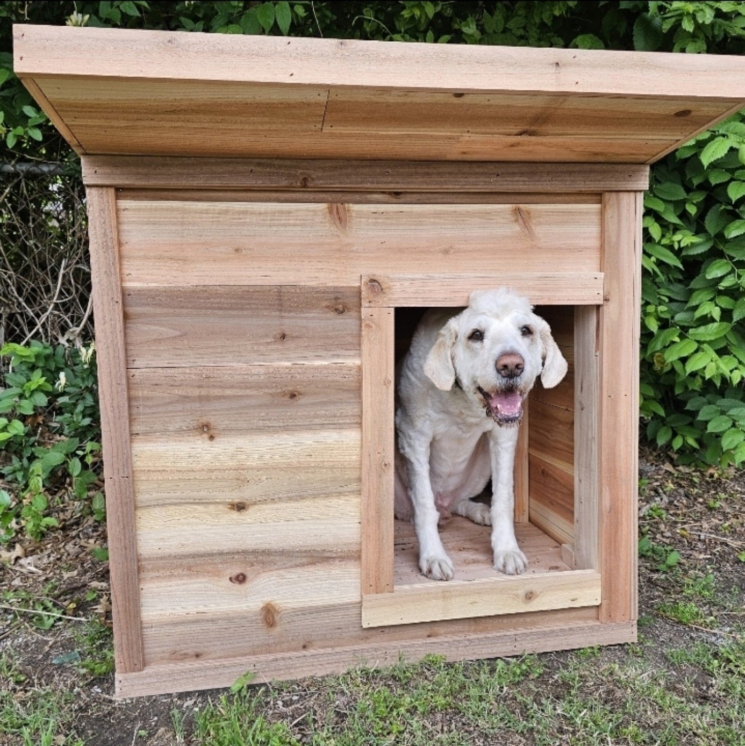 Custom cedar dog house